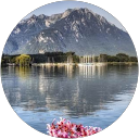 Suresh Gosai profile picture